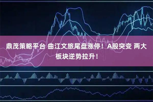 鼎茂策略平台 曲江文旅尾盘涨停！A股突变 两大板块逆势拉升！