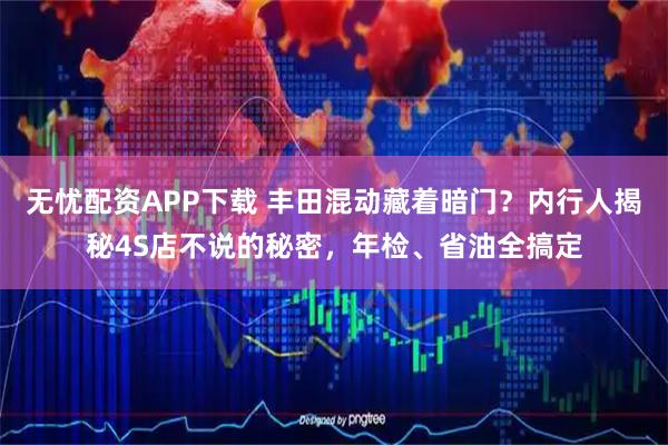 无忧配资APP下载 丰田混动藏着暗门？内行人揭秘4S店不说的秘密，年检、省油全搞定