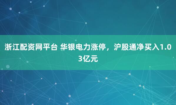 浙江配资网平台 华银电力涨停，沪股通净买入1.03亿元